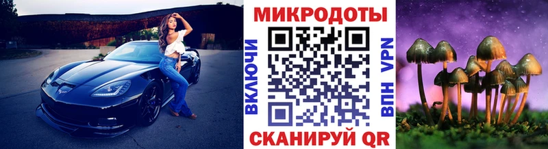 даркнет сайт  Нижний Новгород  Псилоцибиновые грибы ЛСД 